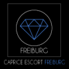 Escort Freiburg Banner